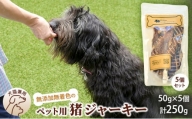 千葉県で獲れたペット用猪ジャーキー(５個セット）２５０g [№5346-0347]