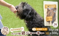 （３回定期便）千葉県で獲れた猪ペット用ジャーキー(2個セット）１００g [№5346-0350]
