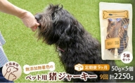 （９回定期便）千葉県で獲れた猪ペット用ジャーキー(５個セット）２５０g [№5346-0356]