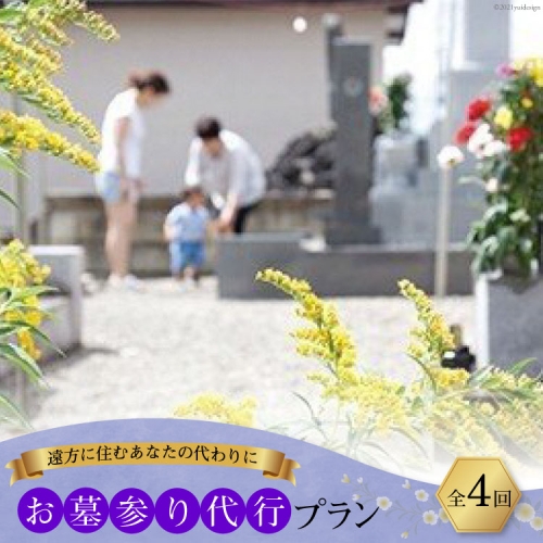 AF053遠方に住むあなたの代わりに お墓参り代行プラン(全4回) 127793 - 長崎県島原市