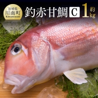 赤甘鯛 Cセット 約1kg [ 魚介類 鮮魚 魚 鯛 タイ ] 宮崎県川南町