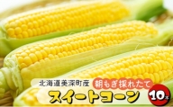 [№5894-0586]とうもろこし 10本 スイートコーン 北海道 美深町産 とうきび 野菜 果物