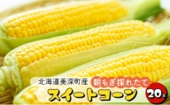 [№5894-0587]とうもろこし 20本 スイートコーン 北海道 美深町産 とうきび 野菜 果物