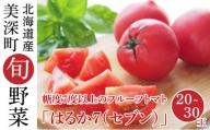 [№5894-0592]糖度7度以上 フルーツトマト はるか7（セブン）20～30玉 北海道 美深町産 トマト 野菜 夏