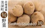 [№5894-0597]じゃがいも 10kg（きたあかり）北海道 美深町産 いも ジャガイモ 秋