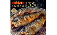 【訳あり】 トロ 塩サバ フィレ3.5kg 塩鯖  美味しいさば 魚 海鮮 家庭用 おかず 規格外  飯田商店 千葉 銚子