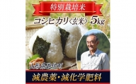 903R05　特別栽培米 コシヒカリ 玄米 5kg 山形県遊佐産 鳥海山の恵（令和5年産米）