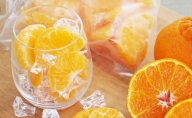 【南さつま市産】簡単便利! 冷凍キングオレンジ（不知火）1kg（500g×2）