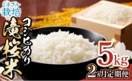 【2ヶ月定期便】ミネラル栽培コシヒカリ滝桜米5kg　【07521-0074】