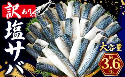 訳あり 塩さば フィレ 約3.6kg 鯖 ｻﾊﾞ 塩さば 塩鯖 切り身 切身 魚 海鮮 魚介 おつまみ おかず 惣菜 弁当 冷凍 大容量 人気 不揃い 規格外 傷 食品 冷凍 冷凍食品 グルメ 贈答 贈物 ギフト 長期保存 小分け お取り寄せ BBQ ふるさと納税 11000 11000円 千葉県 銚子市 辻野