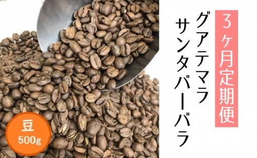 【3ヶ月定期便】自家焙煎コーヒー豆専門店とみかわの「グアテマラ　サンタバーバラ」500g（豆）