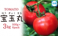 【朝どり直送】高糖度トマト「宝玉丸」3kg【冷蔵便】