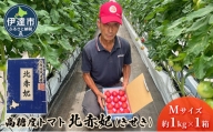 [№5525-0899]北海道伊達市 高糖度 トマト 北赤妃 きせき 約1kg  1箱 Mサイズ