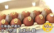 [№5525-0910]北海道 伊達市 とうや 卵 鉄  40個 入り たまご