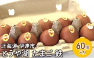 [№5525-0912]北海道 伊達市 とうや 卵 鉄  60個 入り たまご