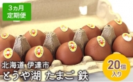 [№5525-0917]【3ヵ月 定期便】 北海道 伊達市 とうや 卵 鉄  20個 入り たまご