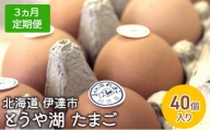 [№5525-0919]【3ヵ月 定期便】 北海道 伊達市 とうや 卵  40個 入り たまご