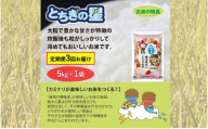 【定期便 3ヶ月】栃木県鹿沼市産 とちぎの星 無洗米 5kg 3回お届け 令和6年産 水稲うるち精米 単一原料米 お米  特A 大粒 [№5840-2395]