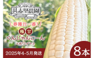 【2025年4-5月発送】春獲れ一番！極甘くんじゃんこーん　ホワイト（８本）とうもろこし コーン 沖縄産 春獲れ 野菜 生 甘い 白 沖縄 国頭村