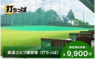 UP14 美浦ゴルフ練習場（打ちっぱ）練習場利用券 9,900円分 ゴルフ練習場 打ちっぱなし 80球×13枚分1040球