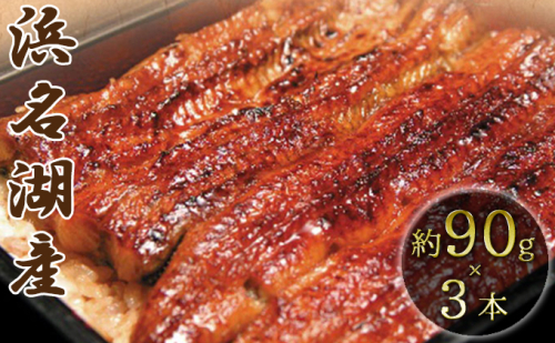 【2021年9月より順次発送】コロナ支援品 浜名湖産鰻蒲焼約90g×3本