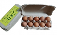 【定期便：6か月】単なる平飼いではない究極の卵『わたしたちのぷらいどたまご』3パック（30個）セット