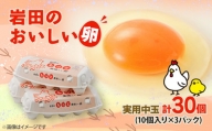 岩田のおいしい卵実用中玉30個(10個入り×3パック)【1039740】