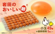 岩田のおいしい卵　小玉49個+破卵保障5個入り【1077545】