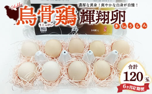 【定期便6ヶ月】烏骨鶏　濃厚な黄身！爽やかな白身が自慢！【烏骨鶏輝翔卵】20玉らくらく定期便 ◇ ※離島への配送不可