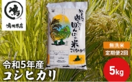 【定期2ヶ月】新米 コシヒカリ 乾式無洗米 5kg 令和5年産 [№5346-0655]