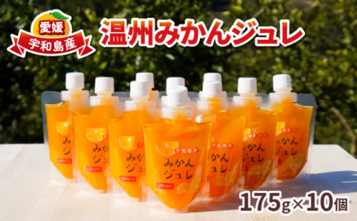 みかん ゼリー 温州みかん ジュレ 10個 先行予約 本気の みかんゼリー 山本みかん 南柑20号 温州 愛媛みかん 愛媛蜜柑 愛媛ミカン mikan 南夏ギフト フルーツゼリー デザート スイーツ 果物 くだもの フルーツ 農家直送 産地直送 数量限定 国産 愛媛 宇和島 J012-038007