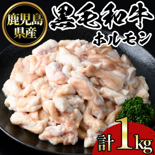 No.1105 鹿児島黒毛和牛ホルモン(500g×2P・計1kg) 国産 九州産 鹿児島県産 牛肉 黒毛和牛 和牛 お肉 おかず 焼き肉 ホルモン 小腸 冷凍【NBフード】 1282321 - 鹿児島県日置市