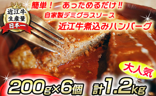 【年内発送】近江牛煮込みハンバーグ　自家製デミグラスソース　【1200g（200ｇ×6個）】【DI01W】 128236 - 滋賀県近江八幡市