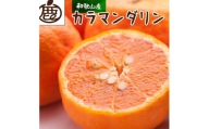 ＜4月より発送＞厳選カラマンダリン3kg+90g（傷み補償分）【希少な春柑橘】【IKE3】