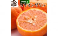 ＜4月より発送＞厳選 カラマンダリン3kg+90g（傷み補償分）【希少な春柑橘】【IKE3】