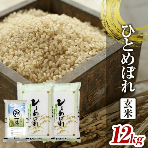 SC0548　令和6年産【玄米】ひとめぼれ　12kg(5kg×2袋+2kg×1袋) YA 128254 - 山形県酒田市