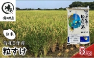 米 令和5年 新品種 粒すけ 5kg 千葉産 白米　【 お米 こめ コメ おこめ 】 [№5346-0049]