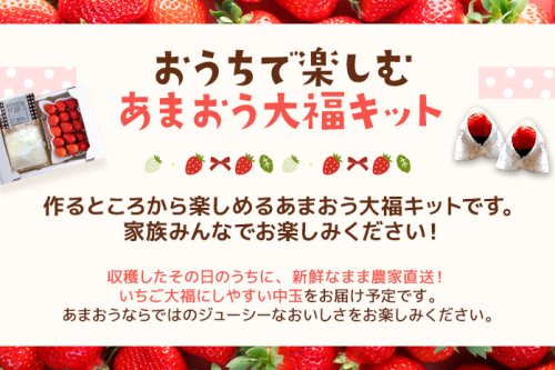 あまおう大福 手作りキット 大福 和菓子 キット セット 【2025年1月～4月にかけて順次出荷予定】餡子 あん お菓子 手作り 苺 いちご 福岡県 大木町 池上農園 BD03