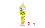 伊藤園　ニッポンエール　国産かんきつ三種ブレンド「400g×24本」