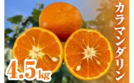 ミカファームのカラマンダリン4.5キロ 果物 フルーツ みかん オレンジ カラマンダリン 4.5kg 三重県 御浜町