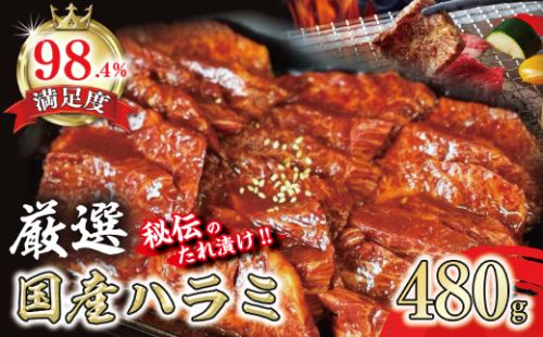 希少　和牛入国産牛　ハラミ480g　秘伝の自家製タレ漬け【FO22U】 1283480 - 滋賀県近江八幡市