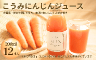 にんじんジュース(200ml×12本)【2026年12月以降発送分】さかまき農園|小海産 新鮮 野菜 人参 にんじん 贈り物 ギフト 農園直送 長野県小海町