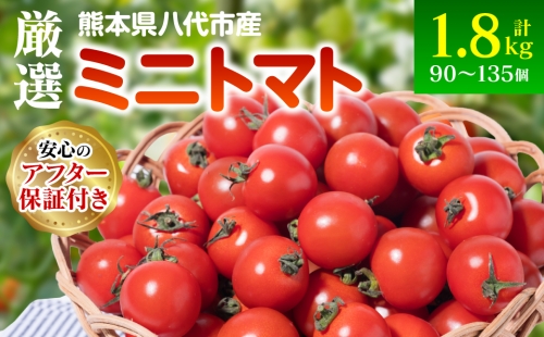 厳選ミニトマト 1.8kg 1283979 - 熊本県八代市