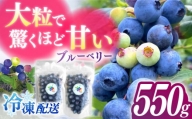 【厳選】高品質へのこだわり 冷凍ブルーベリー 550g【いきつきブルーベリー園 moon berry’s kitchen】 [KAM001]
