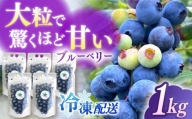 【新鮮】摘みたて！冷凍ブルーベリー 1.0kg【いきつきブルーベリー園 moon berry’s kitchen】 [KAM002]