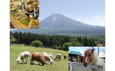 0015−09−01　朝霧高原　まかいの牧場　体験満喫チケットプラン 128437 - 静岡県富士宮市