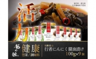 飛騨高山行者にんにく醤油漬け9個セット(自然食品)