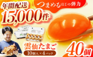 [スピード発送]雲仙たまご 40個(卵10個入り×4パック) 長崎県/塚ちゃん雲仙たまご村 [42ACAE001] 卵 玉子 タマゴ 鶏卵 長崎 島原 九州 9000円 9千円 熨斗 のし ギフト 小分け スピード 最短 最速 発送