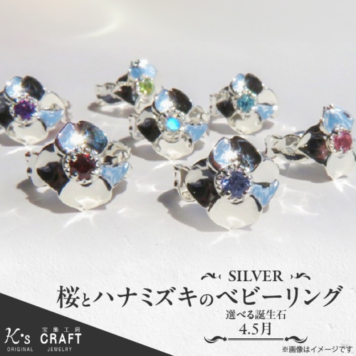 SV 桜とハナミズキのベビーリング（4.5月）[016K20] 1284937 - 愛知県小牧市