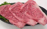 おおいた和牛サーロインステーキ 600g（200g×3枚） 牛肉 お肉 ＜154-010_6＞